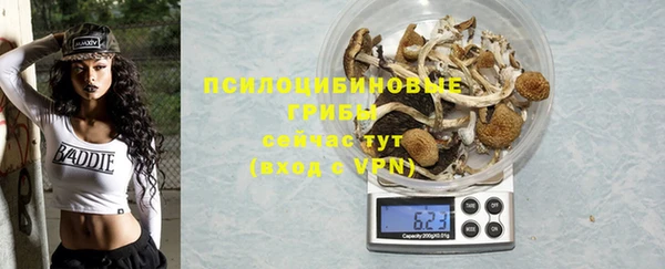 альфа пвп Медногорск