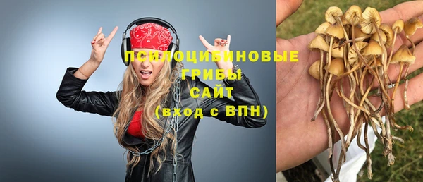 мдпв Липки