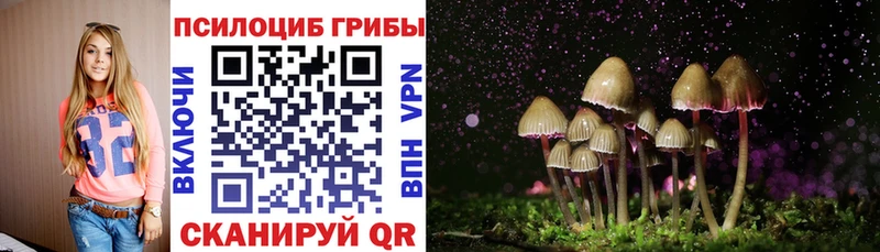 Псилоцибиновые грибы Cubensis  мориарти Telegram  Называевск 